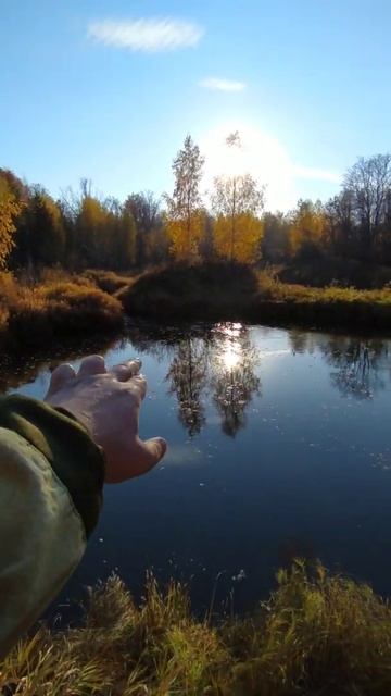 Идеальное место для ловли окуня смотреть онлайн