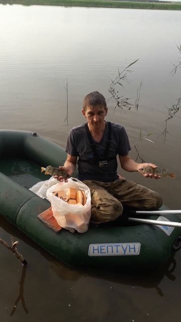 испытали летние жерлицы!!! # shorts смотреть онлайн