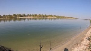 Осенняя рыбалка на Дону. Рыбец и лещ на фидер