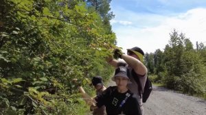 Приехали первые родственники после переезда на Алтай.