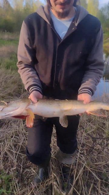 #спиннинг Равань май 2024 смотреть онлайн