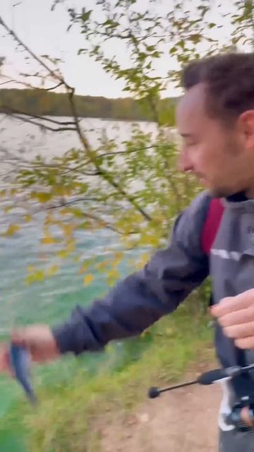 Секрет при ловле окуня #рыбалка #спиннинг #окунь смотреть онлайн