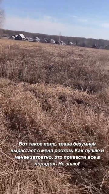 Что делать с этим? Расчистка участка. #нетакаякаквсе #з