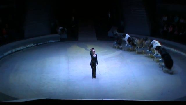 Собаки (М. Запашная) смотреть онлайн