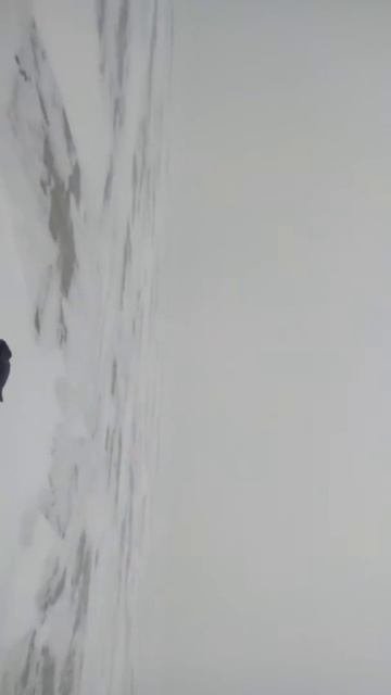 Калининградский залив. Отчёты. смотреть онлайн