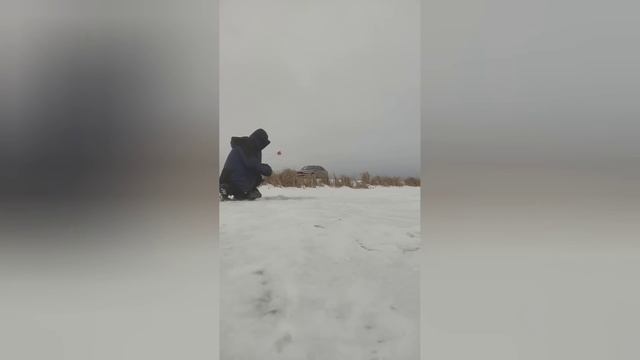 Волки на Раздольном!! Рыбалка на Ишиме. смотреть онлайн