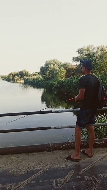 хорошо иметь домик в деревне/рыбалка/природа #лето #farmi смотреть онлайн