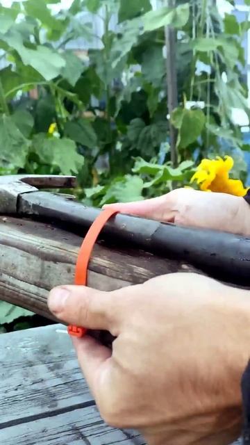 Как молоток закрепить хомутами к доске ?) АСМР видео) #sh смотреть онлайн