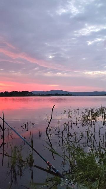 24.07.2023 Рыбалка на удочку Утро рассвет на реке Амур смотреть онлайн