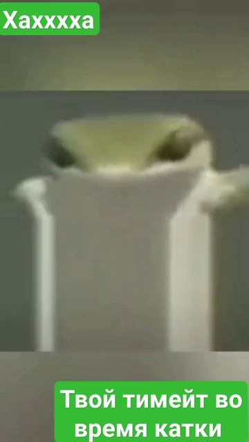 живые обои,твой тим во время катки#sohrts #подпишись смотреть онлайн