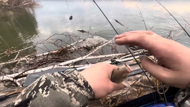 Рыбалка на реке Обь 2025 смотреть онлайн