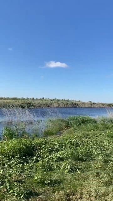 #щука #рыбалкаиохота #рыбалка #катушка #спиннинг #окунь