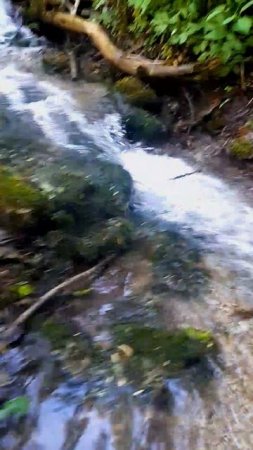 вода - природный антидепрессант