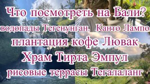 Экскурсия на водопад Тегенунган, Водопад Канто Лампо, плантация кофе Лювак, Тирта Эмпул, Тегалаланг