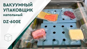 Вакуумный упаковщик DZ-600E напольный