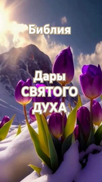 Дары СВЯТОГО ДУХА!!! #библия #бог #мудрость
