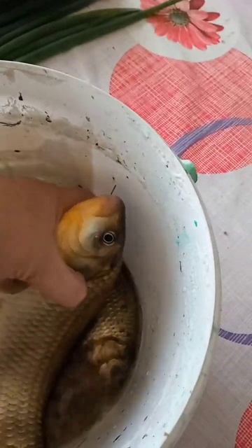 Удачного клёва вам друзья смотреть онлайн