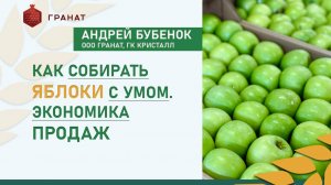 Как собирать яблоки с умом. Экономика продаж | Андрей Бубенок, ООО Гранат, ГК Кристалл