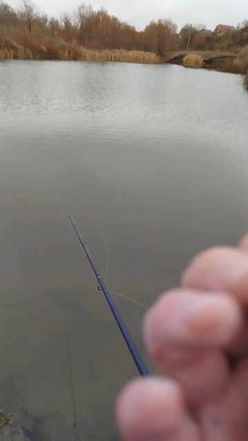 Она зараза дорогая 100 рублей смотреть онлайн