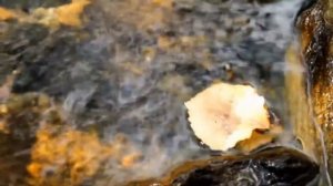 Ручеечек - Анатолий Полотно и Федя Карманов