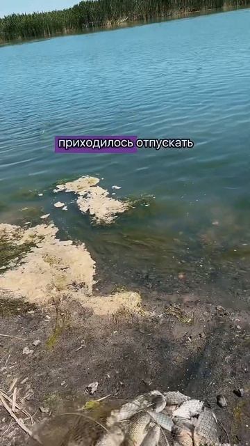 Трудовая рыбалка 💪🏻 #рыбалка #маныч #природа #хобби