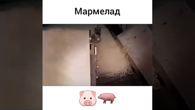 Мармелад из свиньи смотреть онлайн