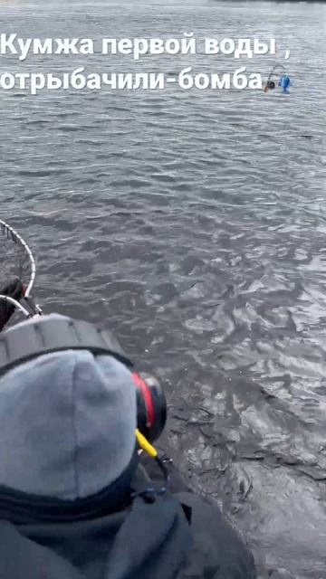 Кумжа на воблер по большой воде , порыбачили-бомба) смотреть онлайн