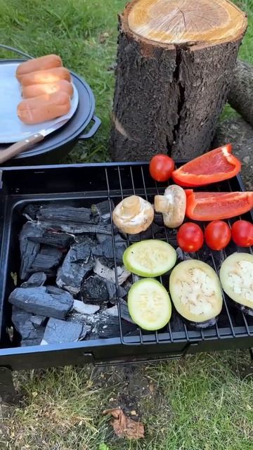 Портативний розкладний мангал -50