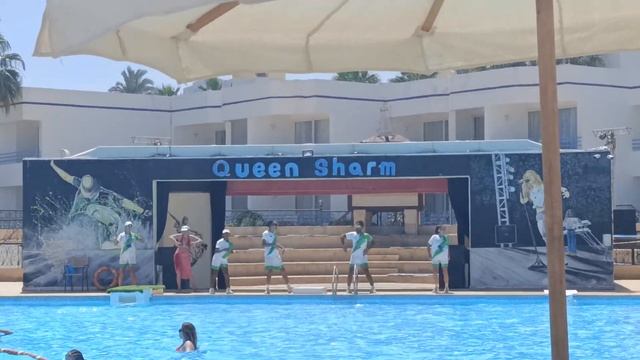 Анимация проводится возле бассейна каждый день .Отел? смотреть онлайн