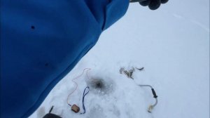 РЫБАЛКА В КАРЕЛИИ! ОЗЕРО ЛАДМОЗЕРО!!! РЫБАЛКА С НОЧЕВКО