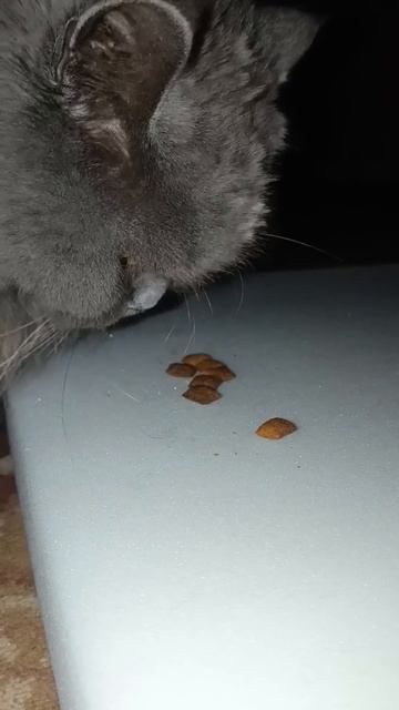 Если поставил лайк, спасибо ❤️ добрый человек #shorts #subs смотреть онлайн