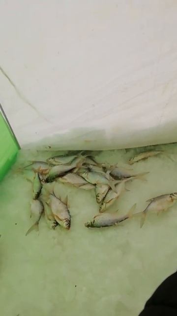 Макаровское водохранилище смотреть онлайн