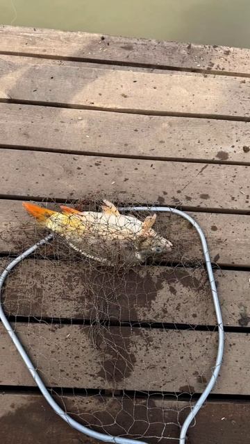 озера Адыгеи смотреть онлайн