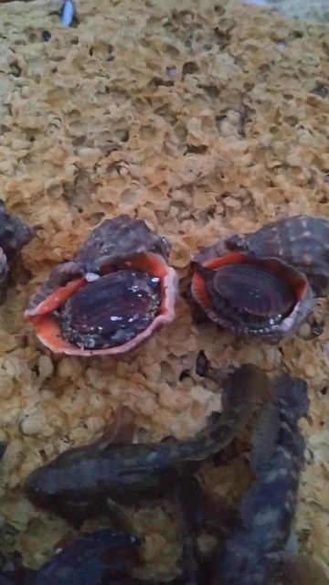 Рыбалка 10 декабря 2023 года море спокойное сидеть не хол смотреть онлайн