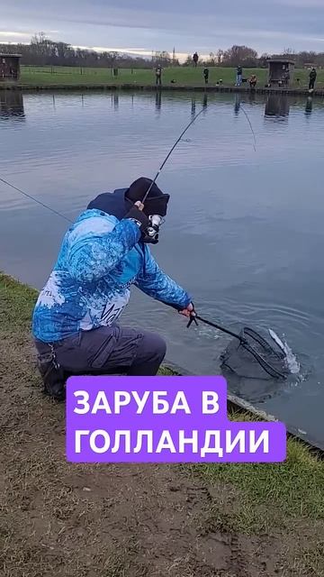 #fishing #youtubeshorts #youtube #youtuber #рыбалка #рек смотреть онлайн
