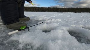 Рыбалка на Онежском озере.