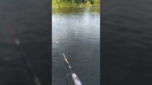 Как говорится улов не важен важна то что ты находишься