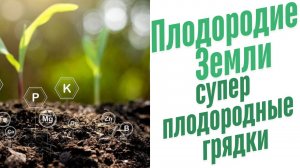 Лучшая структура почвы.