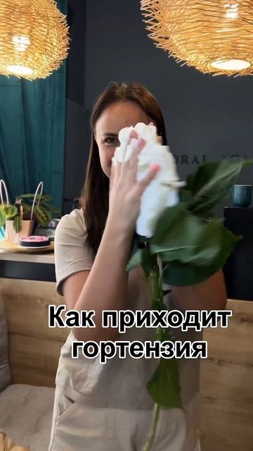 Все о гортензии #floristic смотреть онлайн