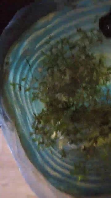 Подпишись и поставь лайк! #horts #тикток #рыбалка. смотреть онлайн