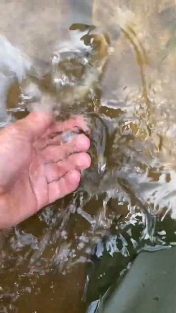 Крупненькая фора идет домой😊 #fishing #рыбалка смотреть онлайн