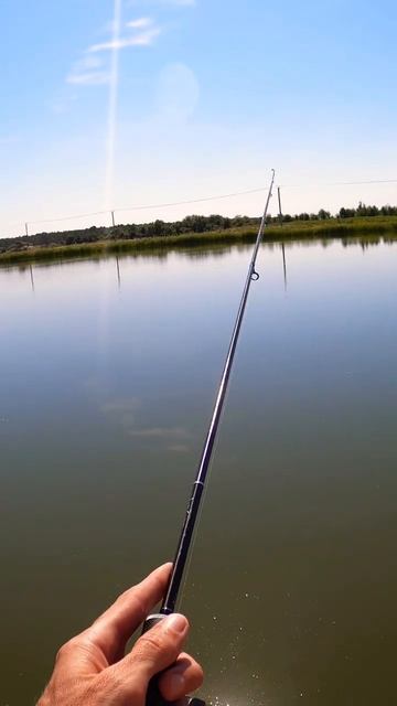 Микроджиг на Tict ice cube 69f. #fish #fishing #nature #icecube #микроджиг #gop смотреть онлайн