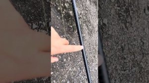 Огляд/обзор фідера Sportex xclusive feeder rs-2 medium