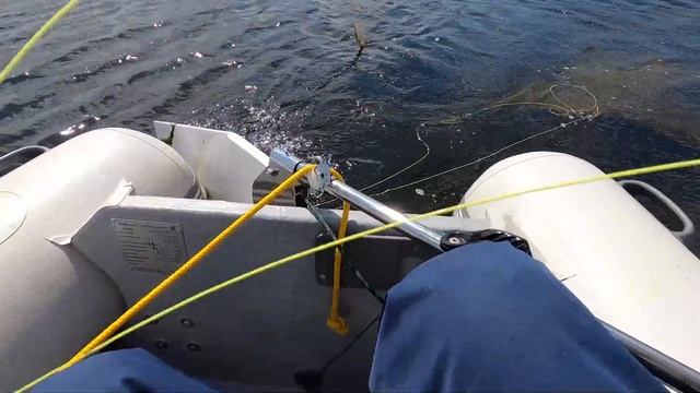 Складной парусный РИБ | Что сказать... смотреть онлайн