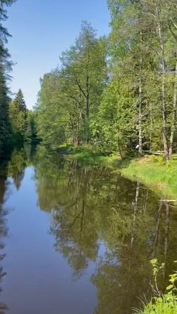 Река Рощинка. Ленинградская область. смотреть онлайн