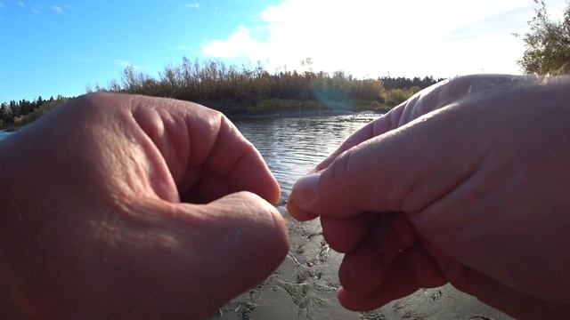 Ловля хищной рыбы осенью на реке Обь смотреть онлайн