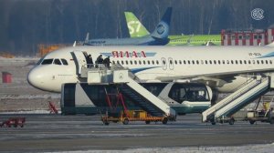Прибытие самолета A-320 "Ямал" из Салехарда, Домодедово 28