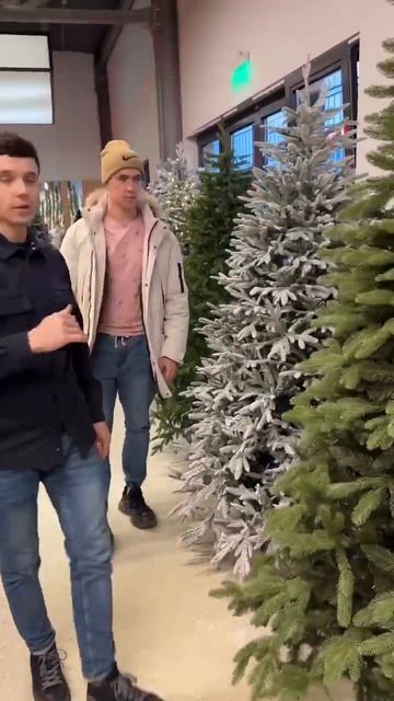 Приходите в наш шоурум, выбирайте понравившуюся ель о? смотреть онлайн