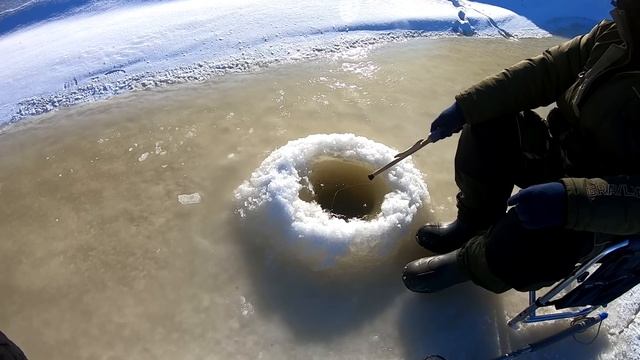 ЩУКА НА КРАБА. Река Амур Зимняя рыбалка смотреть онлайн