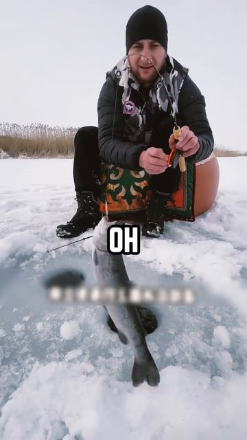 Один в дикой природе #выживание #выживальщик #дикарь смотреть онлайн